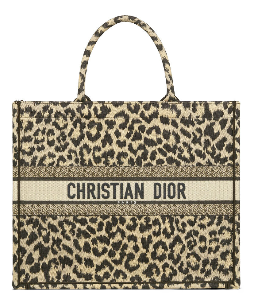 Christian Dior Book Tote Velvet Mizza Embroidery Canvas Coffee